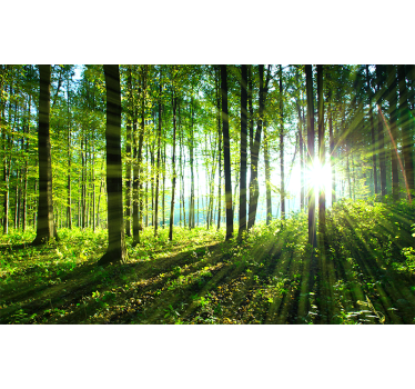 Roller blind for living room forest landscape mural - TenStickers
