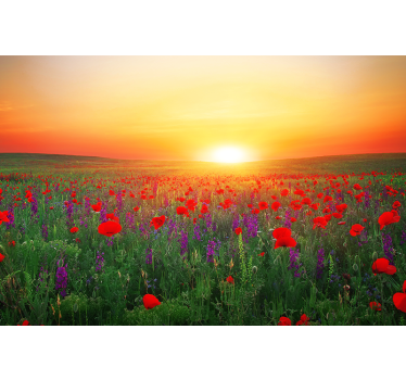 Red poppy field with sun roller blind for living room - TenStickers