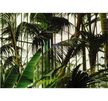 Roller blind for living room green wall decor - TenStickers