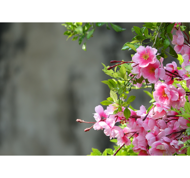 Roller blind for living room pink flowers 3d - TenStickers