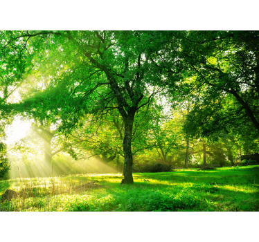 Green lush forest roller blind for living room - TenStickers