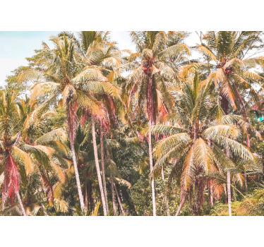 Green palm in the jungle roller blind for living room - TenStickers