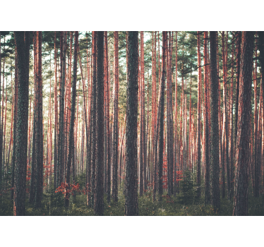 Deep forest trees landscape roller blind for living room - TenStickers