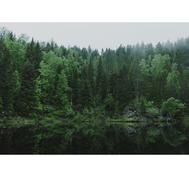Roller blind for living room a forest by the lake - TenStickers