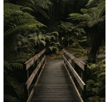 Roller blind for living room nature bridge in forest - TenStickers