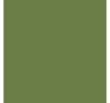 Olive shades Green roller blind - TenStickers