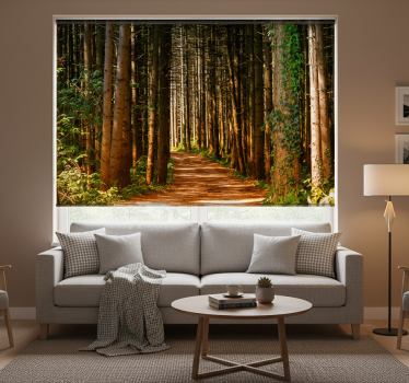 3d forest path roller blind for living room - TenStickers