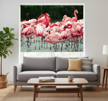 Nice flamingos on water roller blind for living room - TenStickers