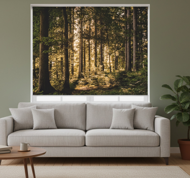 Roller blind for living room nature midday forest - TenStickers