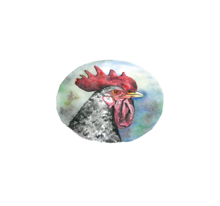 Painted roosters original placemats - TenStickers