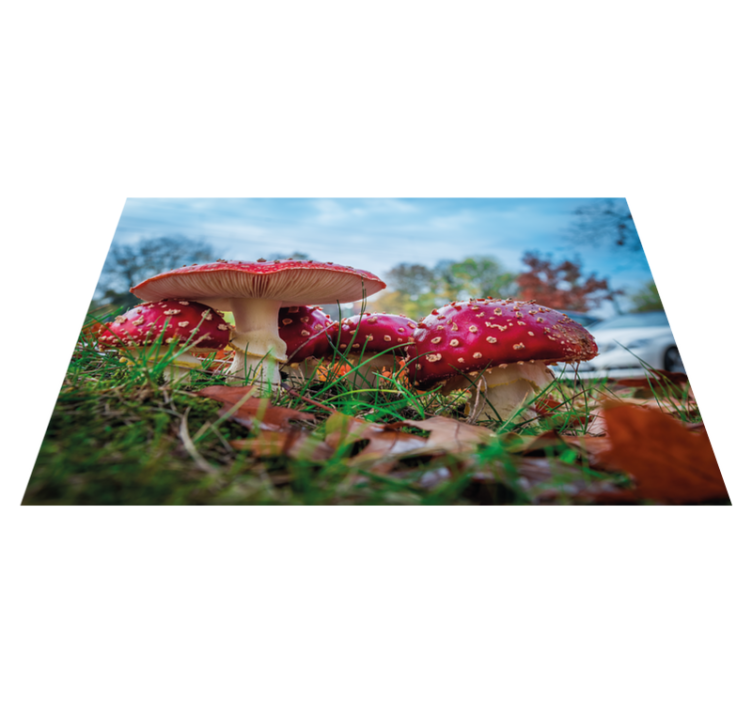 Modern placemat mushroom culinary art - TenStickers