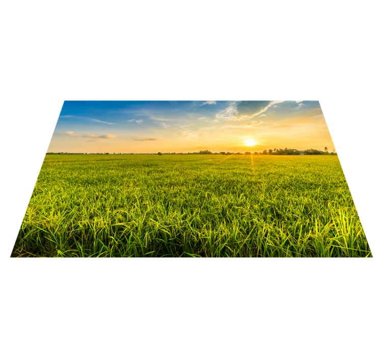 Grass field aesthetic original placemats - TenStickers