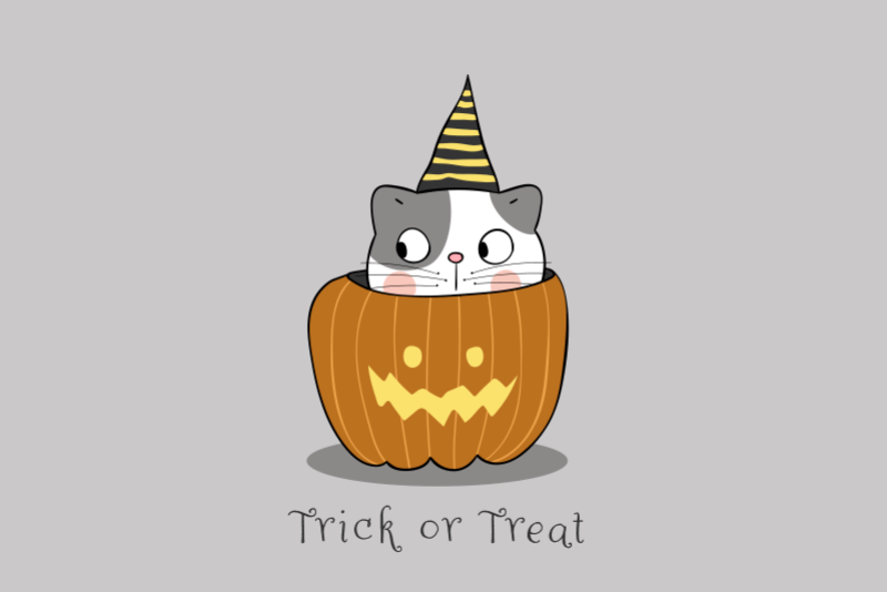 Halloween placemat cat in pumpkin - TenStickers