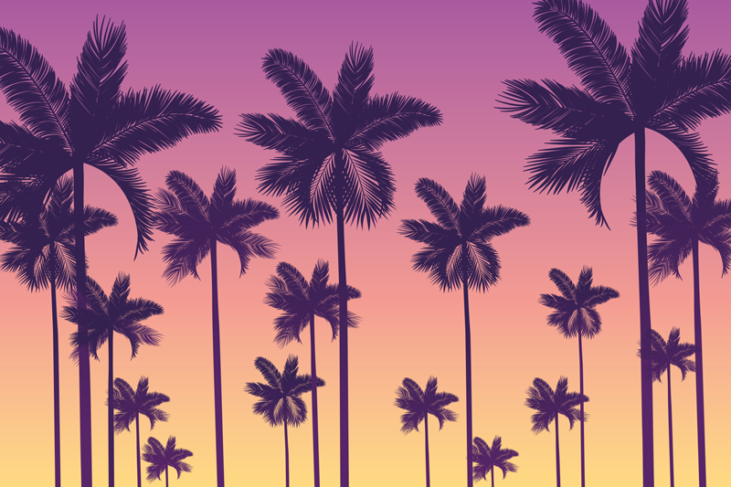 Original placemat palm tree sunset - TenStickers
