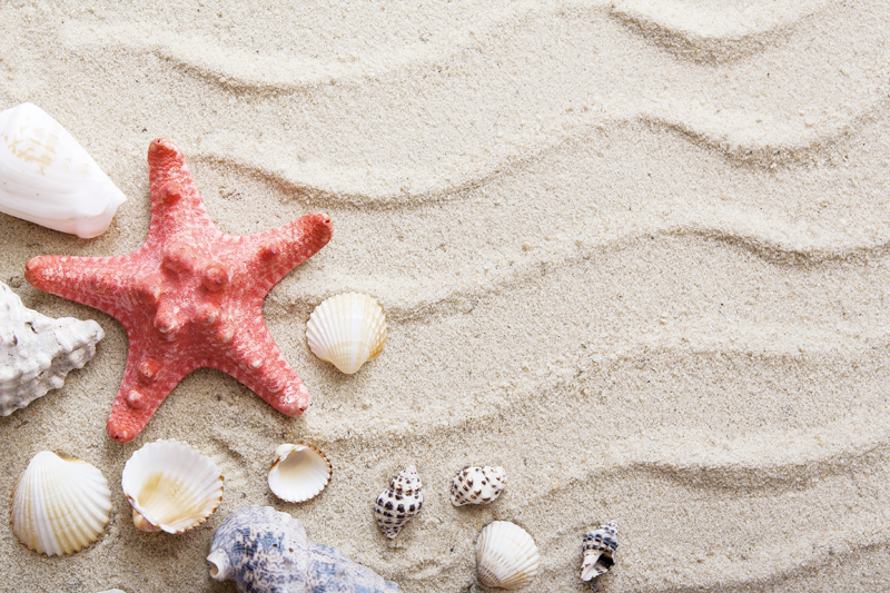 Original placemat starfish beach scene - TenStickers