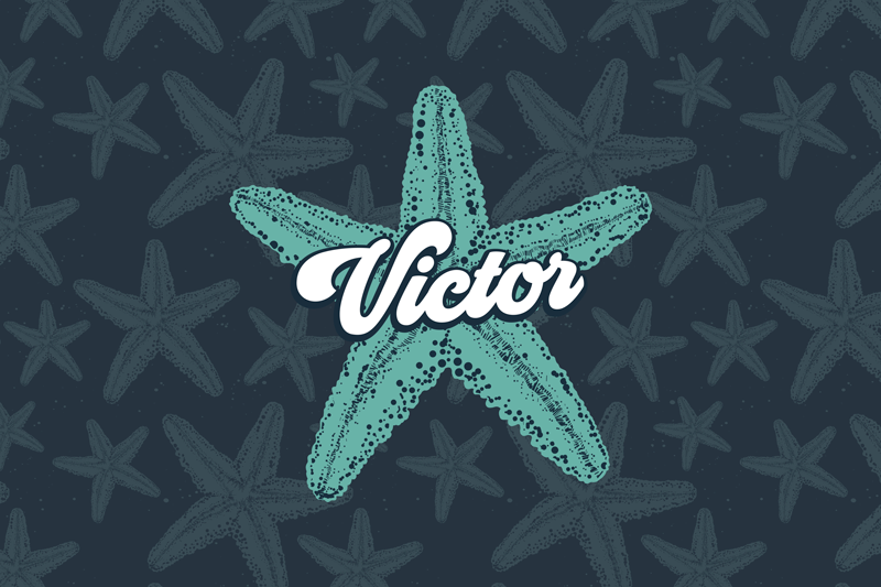Customizable placemat starfish personalised accent - TenStickers