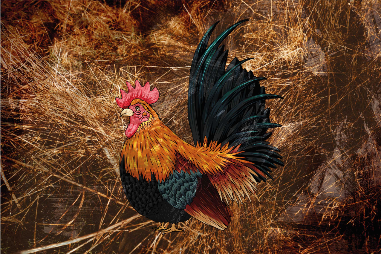 Original placemat with colorful rooster artwork - TenStickers