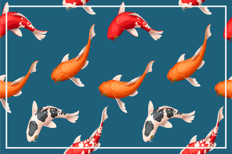 Original placemat colorful koi fish design - TenStickers