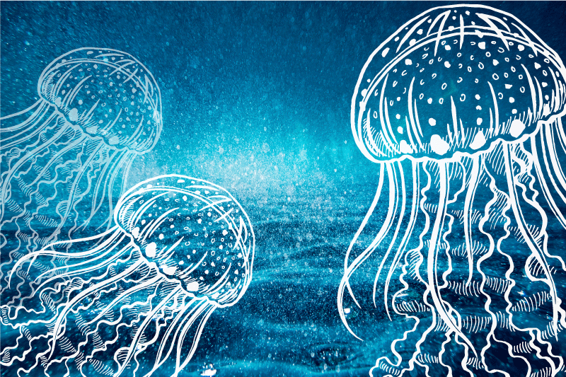 Original placemat jellyfish ocean scene - TenStickers