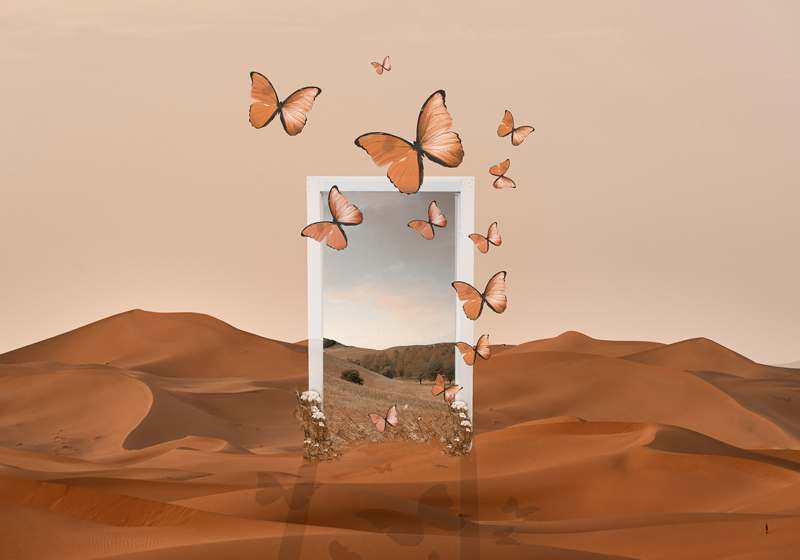 Original placemat butterflies emerging frame - TenStickers