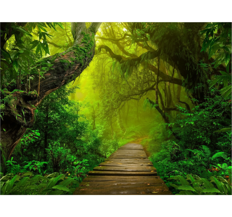 Forest wall mural mystic forest path - TenStickers