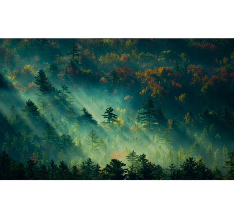 Forest wall mural the gloomy woods - TenStickers