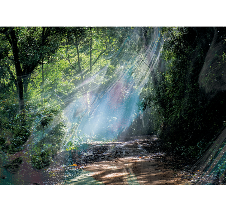 Nature wall mural radiant forest path - TenStickers