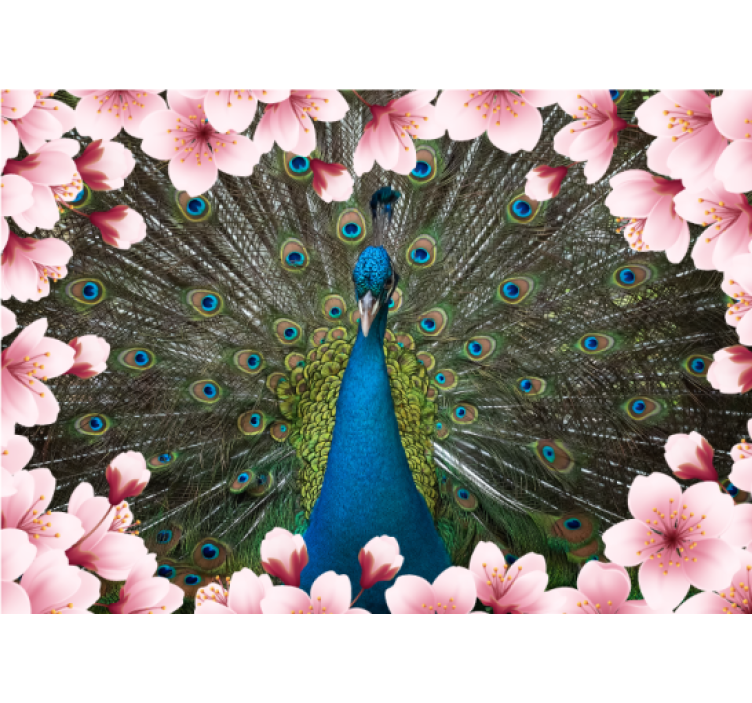 Majestic Peacock Display animal wall mural - TenStickers