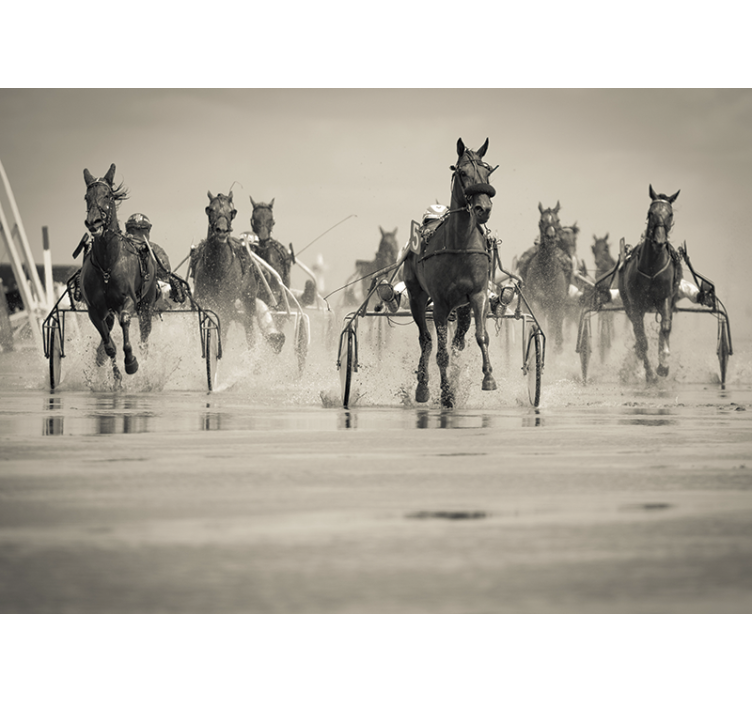 Horses Racing Together animal wall mural - TenStickers