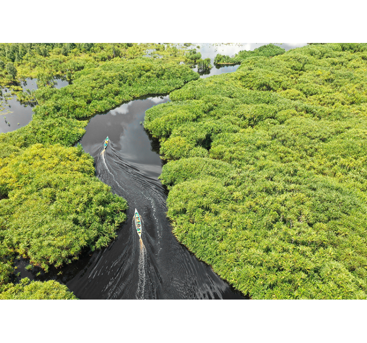 Scenic River Journey landscape wall mural - TenStickers