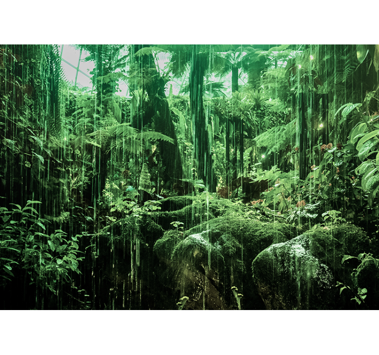 Amazonian tempus life Forest Wall Mural - TenStickers