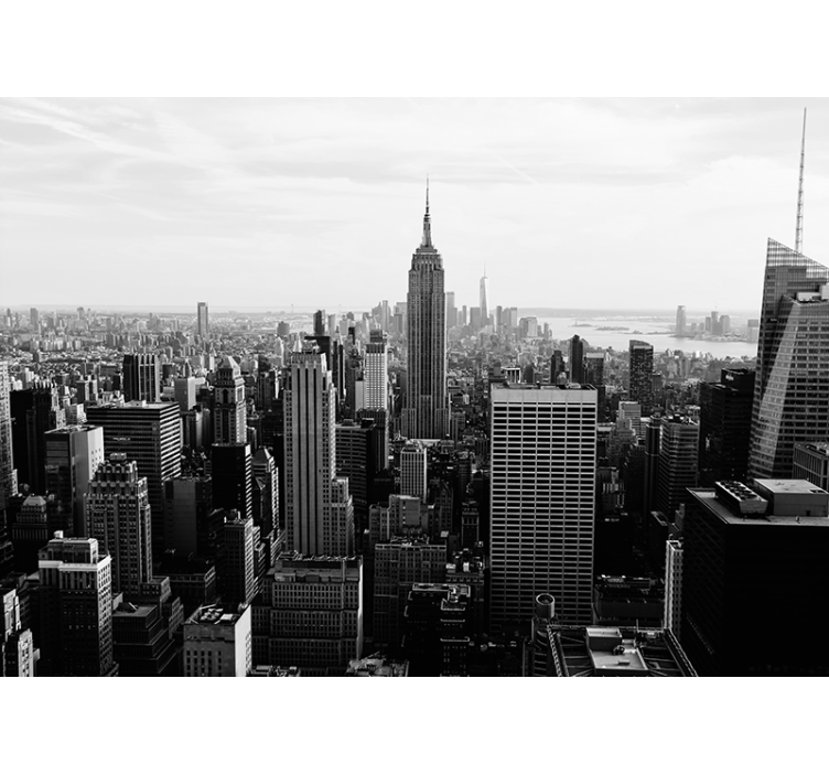 Empire State Building View new york wall mural - TenStickers