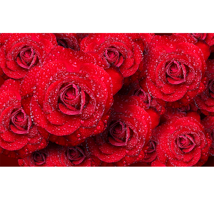 Red Blooming Roses rose wall mural - TenStickers