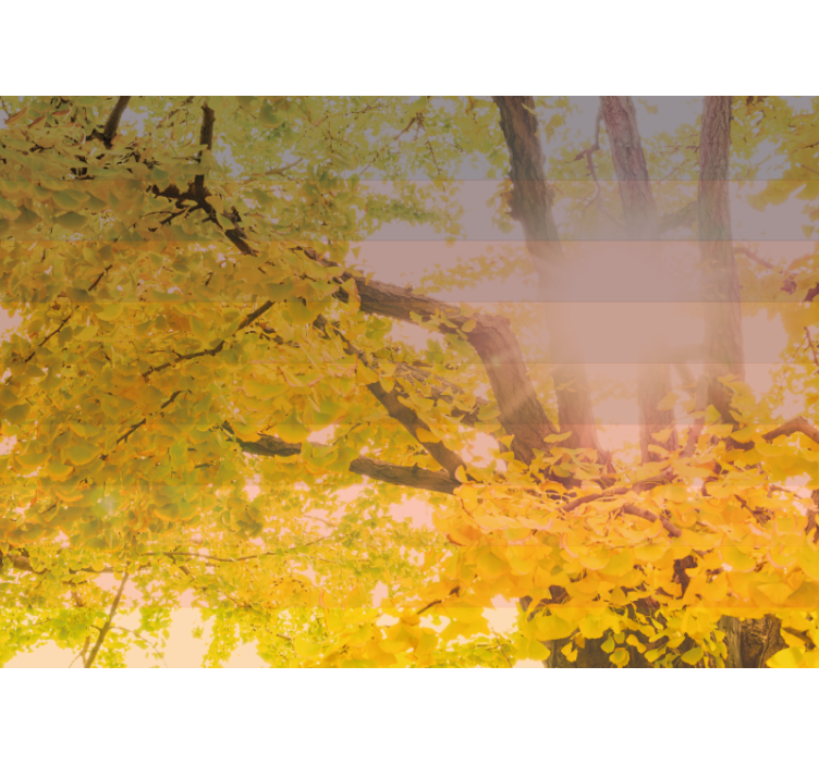 Shining autumnal scene nature wall mural - TenStickers