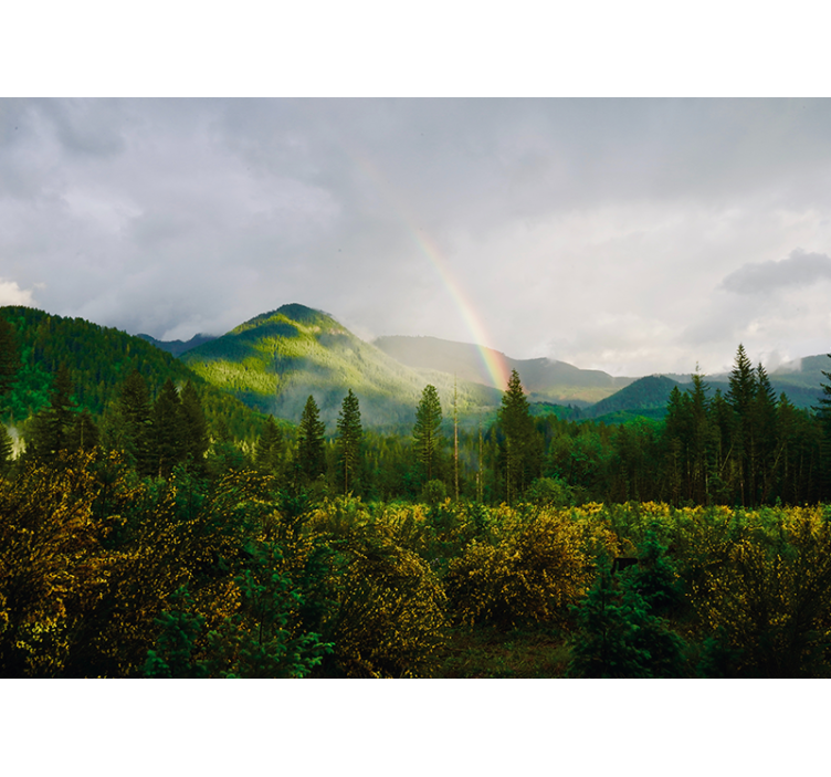 Landscape with rainbow nature wall mural - TenStickers