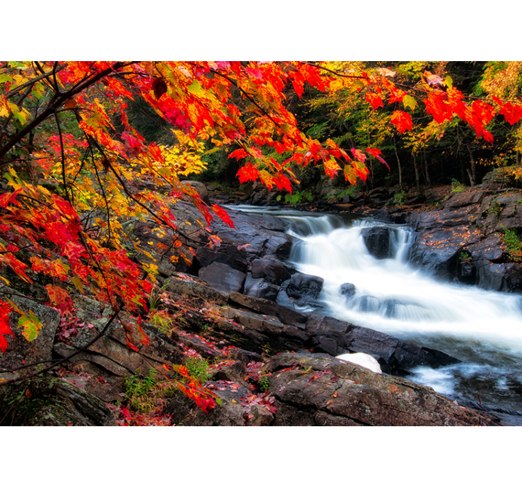 Autumn landscape with leaves Waterfall Mural - TenStickers