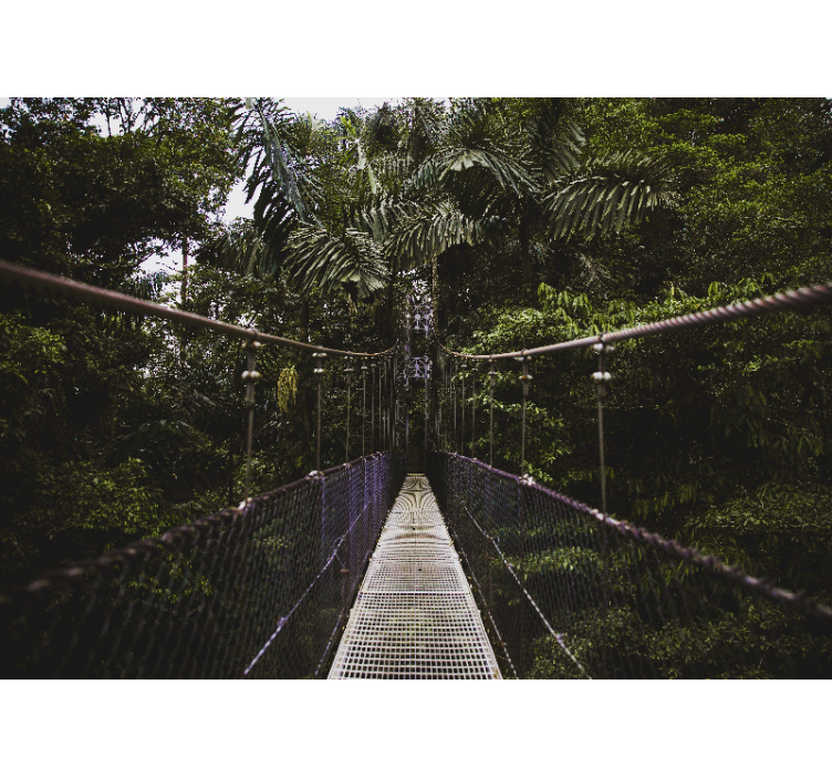 Suspension bridge adventure nature wall mural - TenStickers