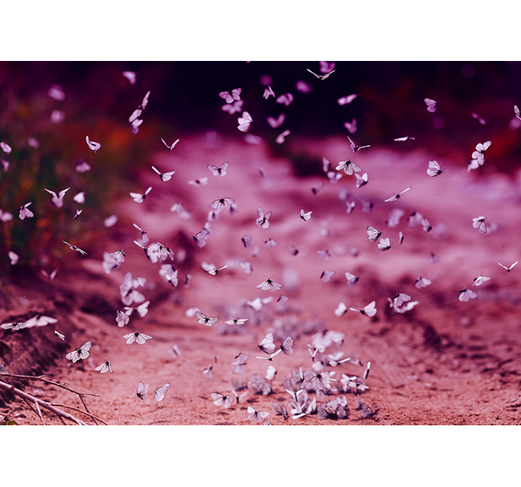 White cabbage butterfly wall mural - TenStickers