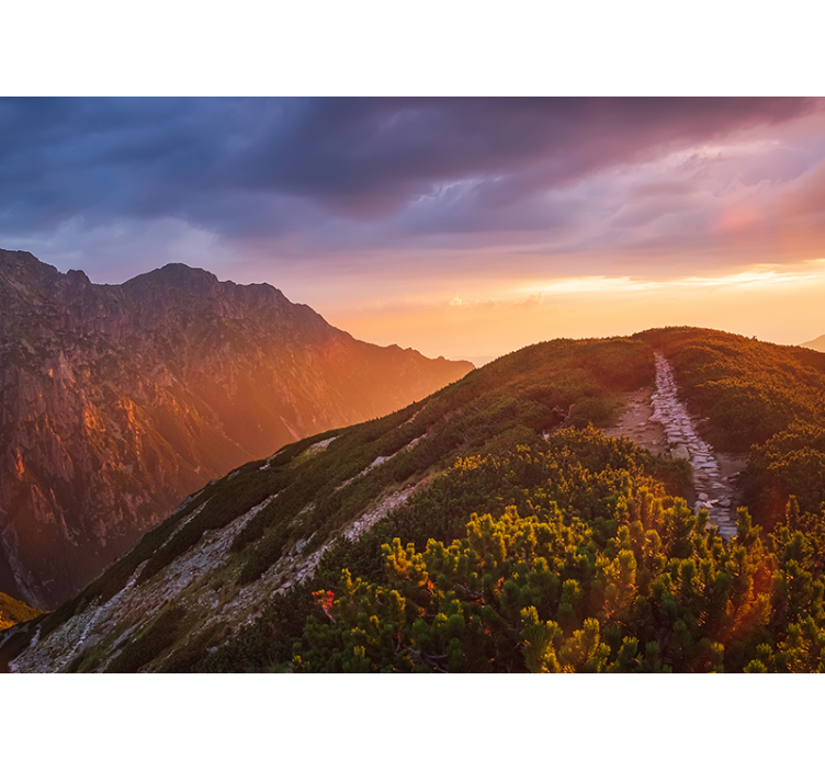 Majestic Mountain Dusk mountain wall mural - TenStickers