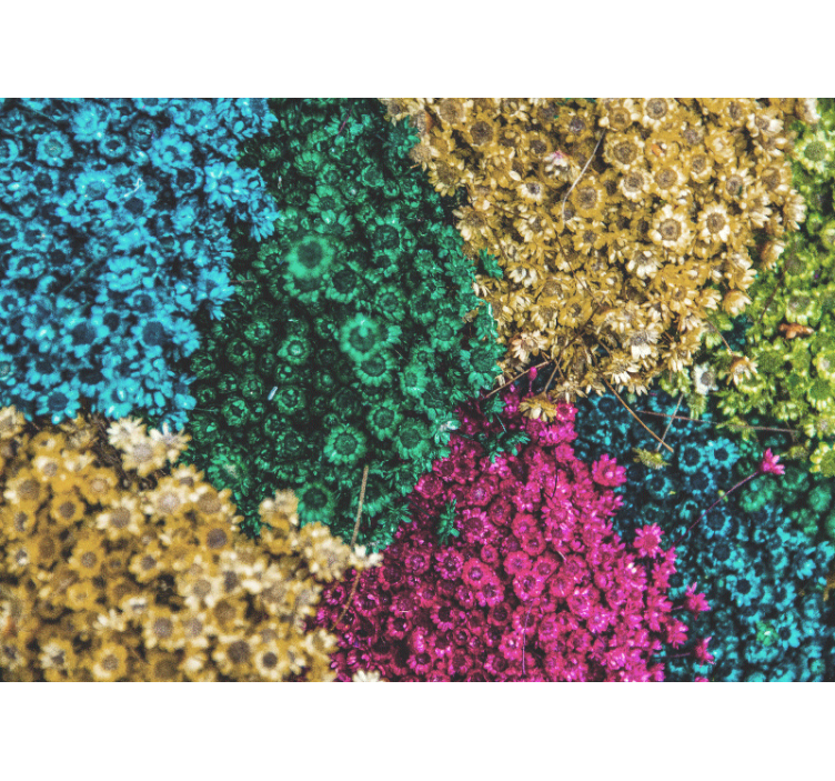 Flower wall mural colorful floral designs - TenStickers