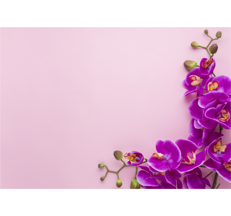 Orchid wall mural orchid floral design - TenStickers