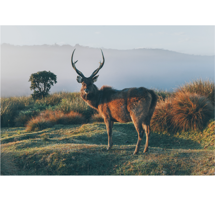Majestic stag profile animal wall mural - TenStickers