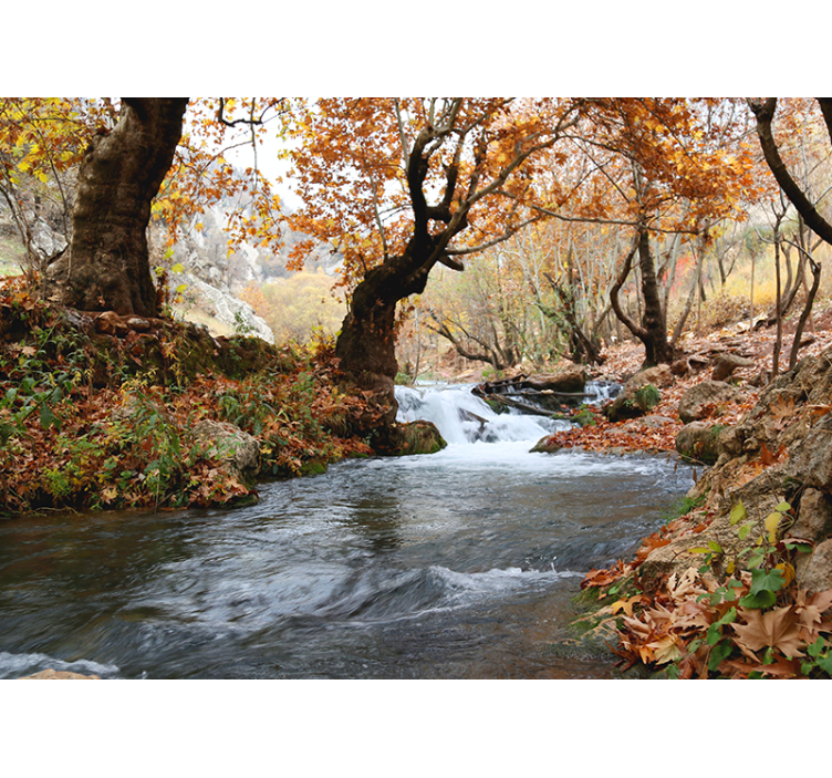 Nature wall mural forest stream tranquility - TenStickers