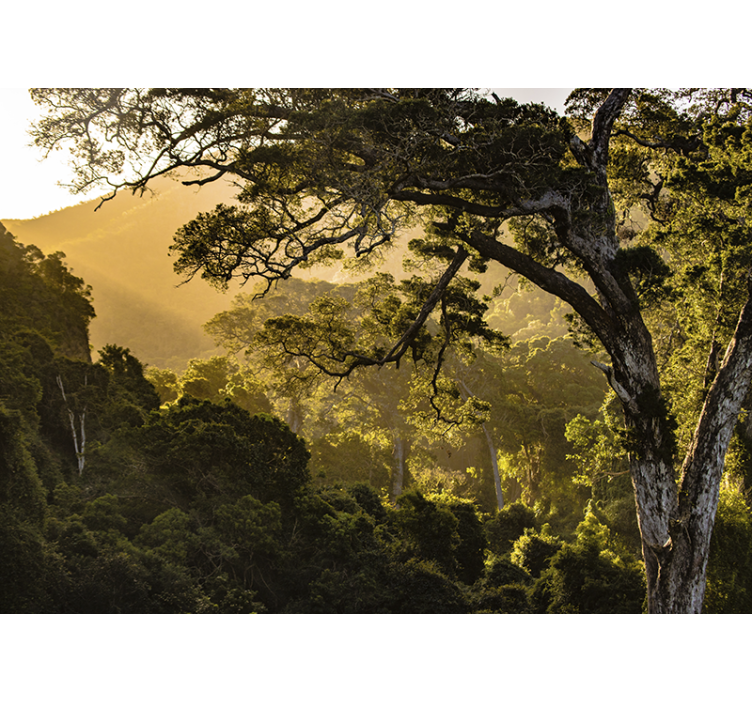 Nature wall mural verdant woodland landscape - TenStickers