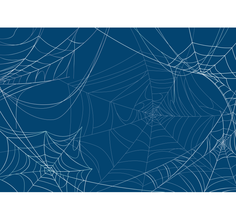 Zen wall mural spider web pattern - TenStickers