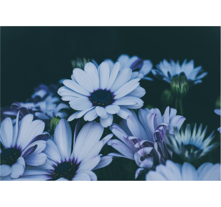 Flower wall mural serene floral arrangement - TenStickers