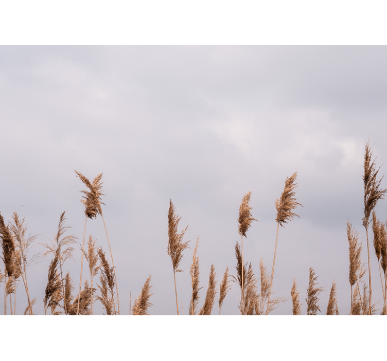 Tree wall mural tall grass silhouettes - TenStickers