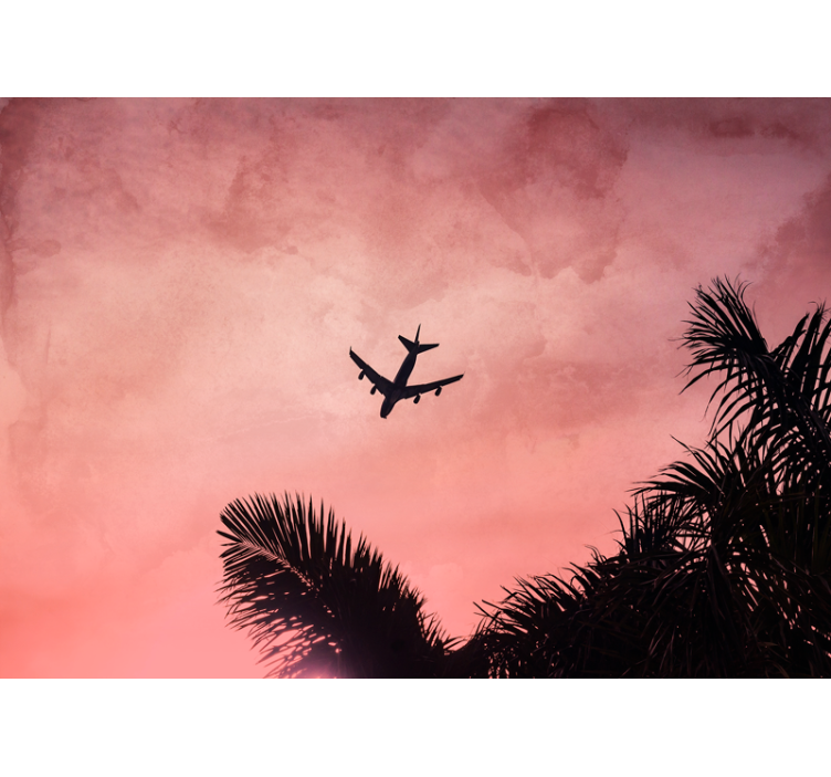 Airplane Silhouette at Dusk vehicle wall mural - TenStickers