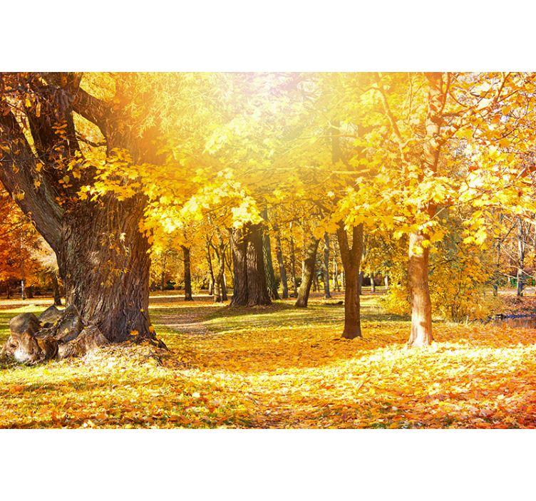 Nature wall mural autumn trees landscape - TenStickers