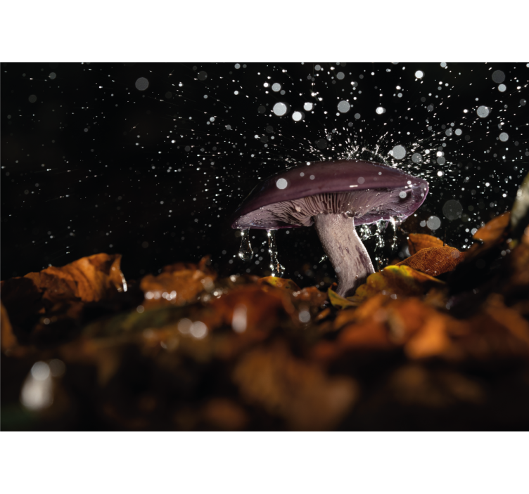 Nature wall mural mushroom water splash - TenStickers
